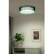 Duolla - LED Mennyezeti lámpa ROLLER LED/24W/230V zöld