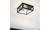 Eglo - Fürdőszobai mennyezeti lámpa 2xE27/40W/230V