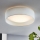 Eglo - LED mennyezeti lámpa 1xLED/11W/230V