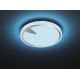 Fischer & Honsel 20754 - LED RGBW Dimmelhető mennyezeti lámpa T-ERIC LED/33W/230V 2700-6500K Wi-Fi Tuya + távirányító