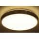 GLOBO 41687 - LED Mennyezeti lámpa ROBYN 1xLED/22W/230V