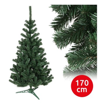 Karácsonyfa BRA 170 cm fenyő