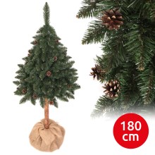 Karácsonyfa PIN 180 cm fenyő