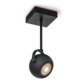 LED Dimmelhető spotlámpa NOP 1xGU10/5,8W/230V fekete