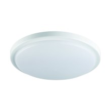 LED Fürdőszobai mennyezeti lámpa ORTE LED/18W/230V IP54