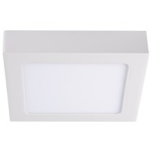LED Mennyezeti lámpa KANTI LED/12W/230V 3000K fehér