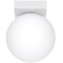 Mennyezeti lámpa YOLI 1xG9/12W/230V fehér