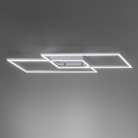 Paul Neuhaus 8193-55 - LED Szabályozható mennyezeti lámpa INIGO 2xLED/15W/230V