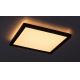 Rabalux - LED Dimmelhető kültéri mennyezeti lámpa LED/15W/230V Wi-Fi Tuya 2700-6500K IP44 + távirányító