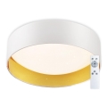 Top Light - LED Dimmelhető mennyezeti lámpa IVONA 40B + távirányító LED/24W/230V + távirányítás fehér