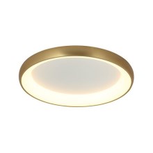 Zambelis 2042 - LED Dimmelhető mennyezeti lámpa LED/30W/230V átm. 40 cm arany