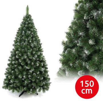 150 cm-es fenyő karácsonyfa