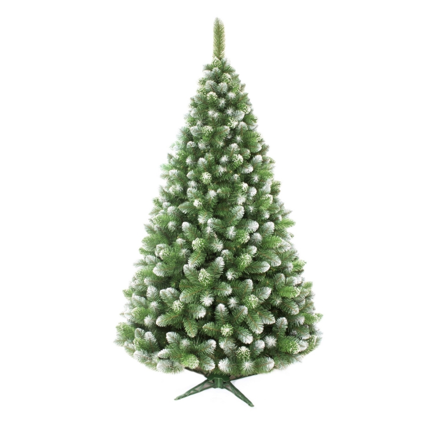 Karácsonyfa 150 cm-es fenyő