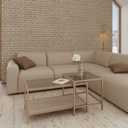 2 darabos SARON dohányzóasztal szett, 90×50 cm, szürke/átlátszó