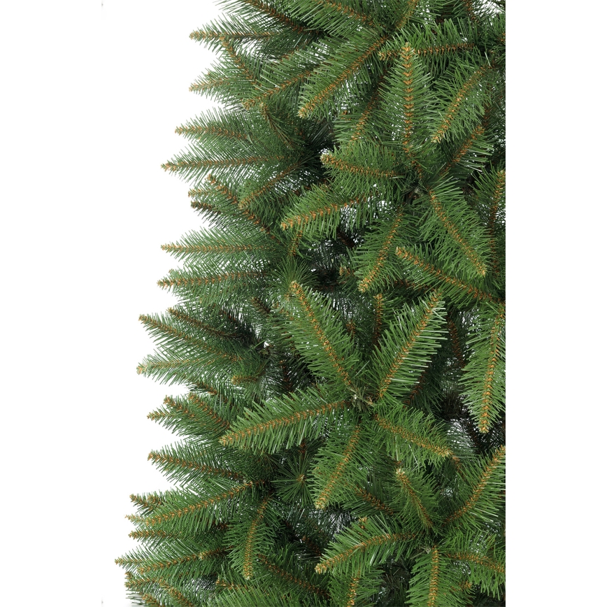 250 cm-es lucfenyő karácsonyfa