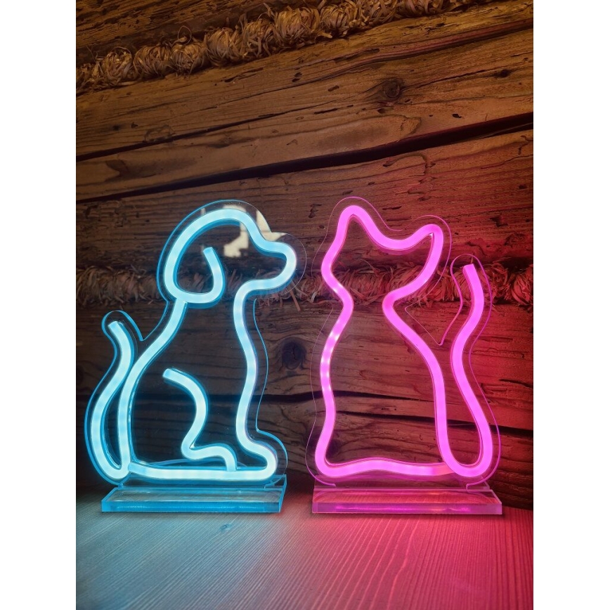 2Kids Toys - LED Neon asztal dekoráció LED/5W/USB macska