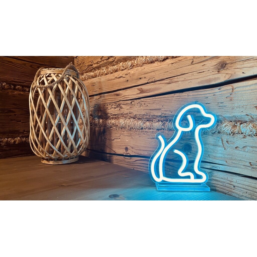 2Kids Toys - LED neon asztali dekoráció LED/5W/USB kutya