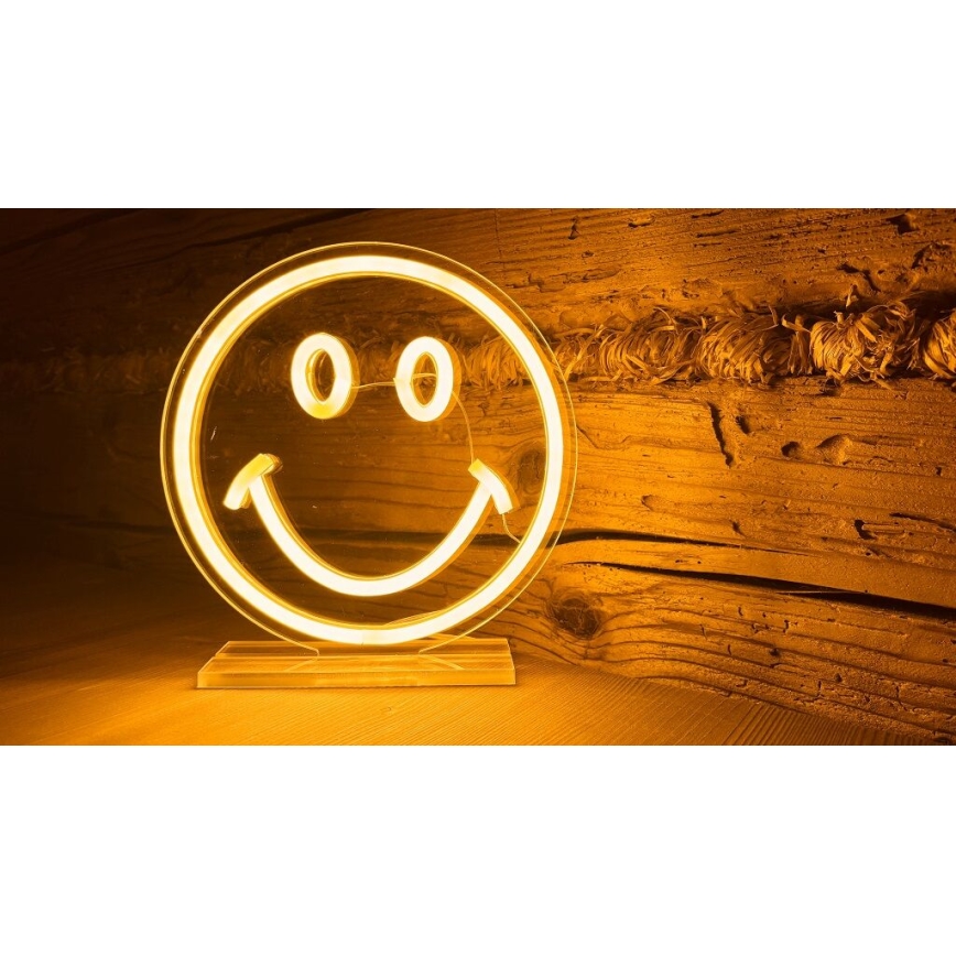 2Kids Toys - LED neon asztali dekoráció LED/5W/USB mosolygós arc
