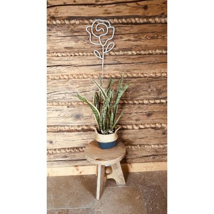 2Kids Toys - LED Neon fali dekoráció LED/5W/USB rózsa