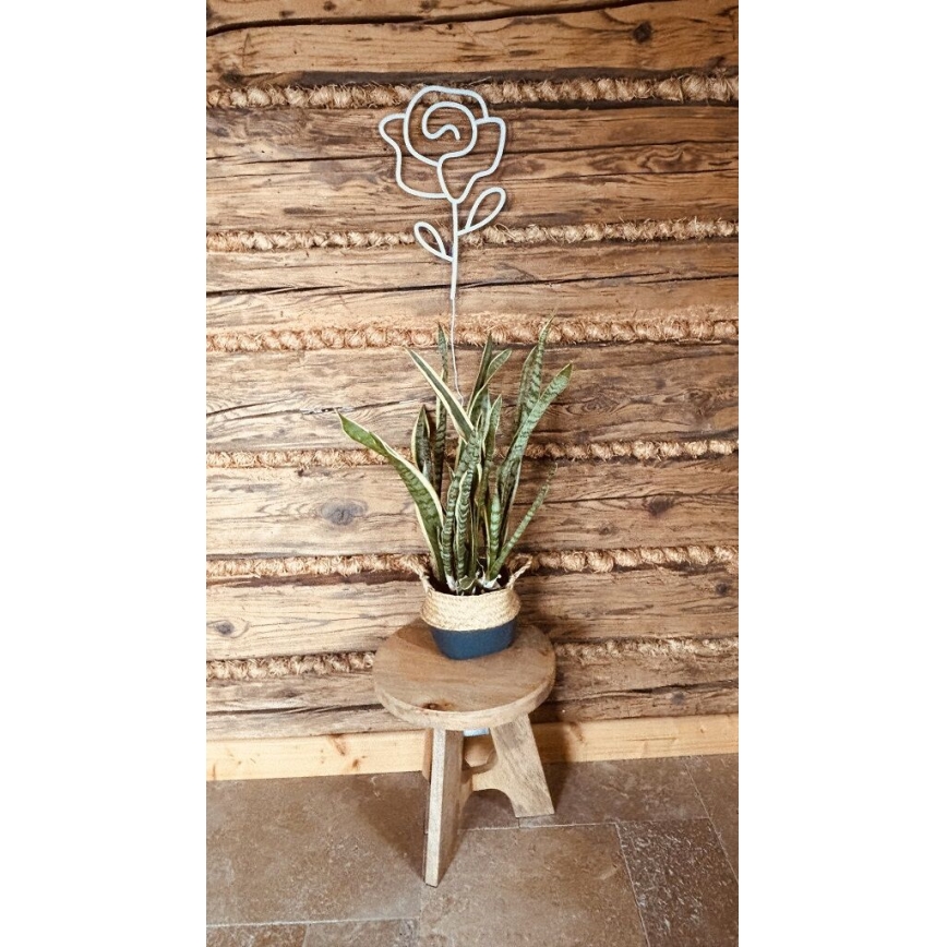 2Kids Toys - LED Neon fali dekoráció LED/5W/USB rózsa