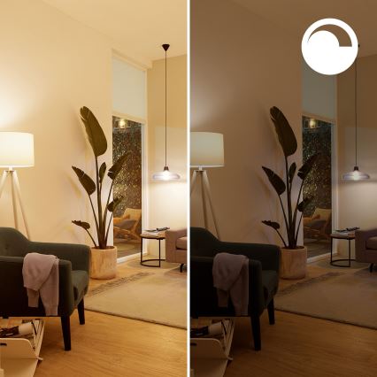 SZETT 4x dimmelhető RGB LED izzó Philips SMART C37 E14/4,9W/230V 2200-6500K