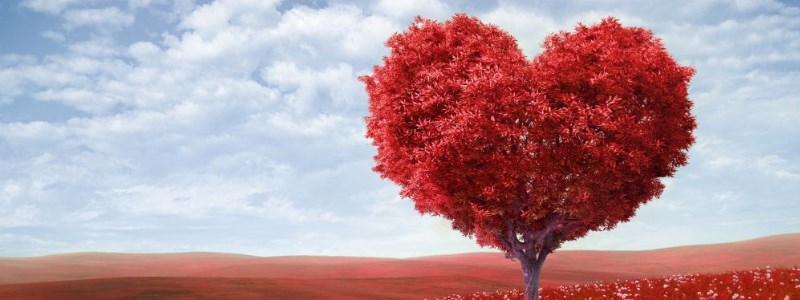 Valentin nap kellemes fényben