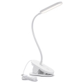 Aigostar - LED Dimmelhető asztali lámpa klipsszel LED/2,5W/5V fehér