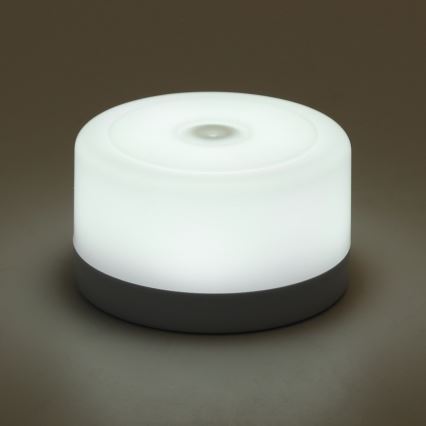 Aigostar - LED Dimmelhető hordozható éjjeli fény LED/1W/5V 6500K+ USB