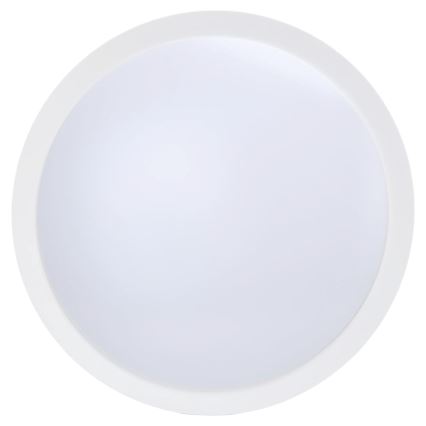 Aigostar - LED fényerőszabályozható mennyezeti ventilátor LED/50W/230V 2700–6500K átm. 106 cm fehér + távirányító