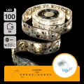 Aigostar - LED karácsonyi fényfüzér 100xLED/3xAA 10 m meleg fehér ezüst