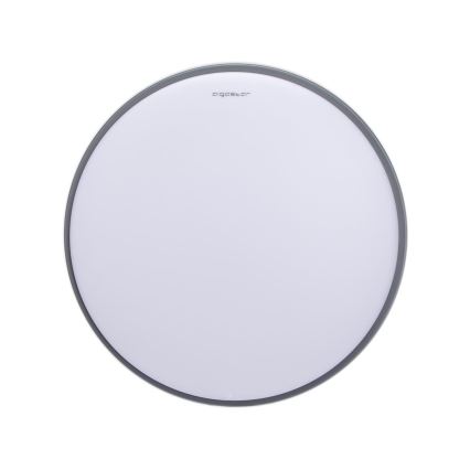 Aigostar - LED Mennyezeti lámpa LED/20W/230V 3000K á. 30 cm szürke