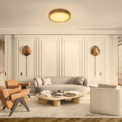 Aigostar - LED Mennyezeti lámpa LED/20W/230V 3000K átm. 33,7 cm