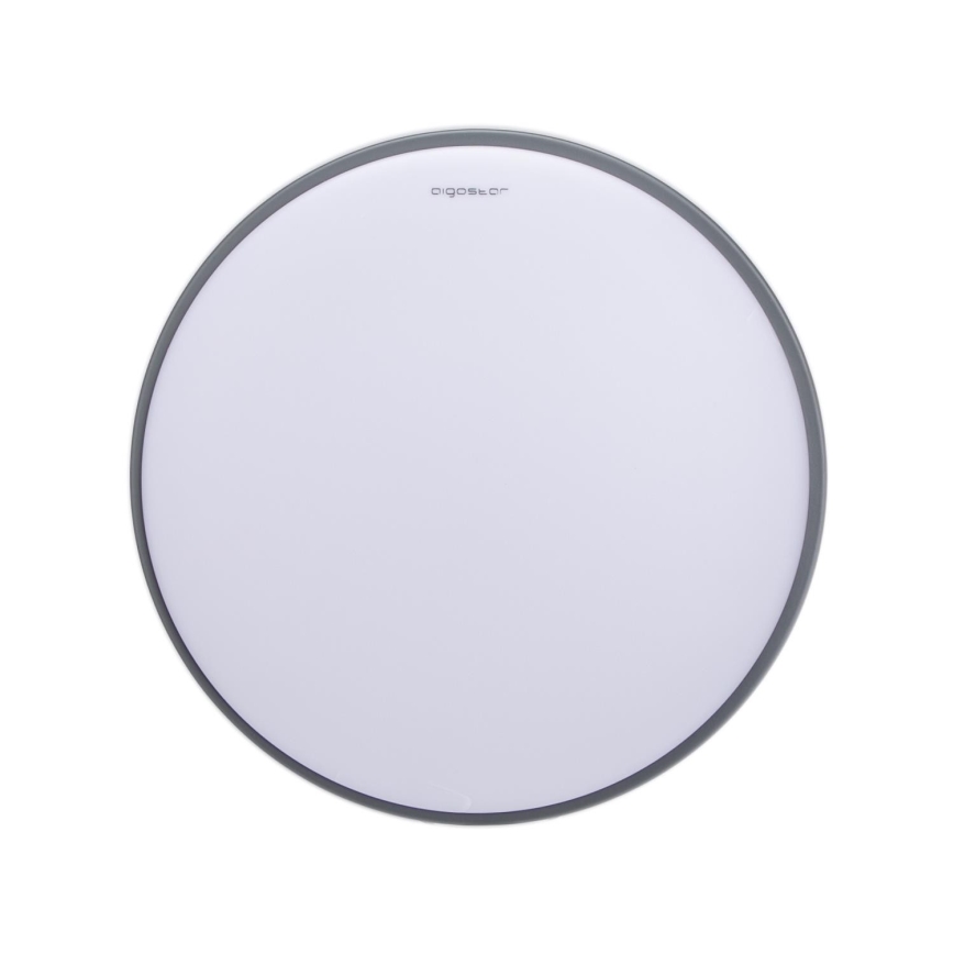 Aigostar - LED Mennyezeti lámpa LED/20W/230V 6500K szürke