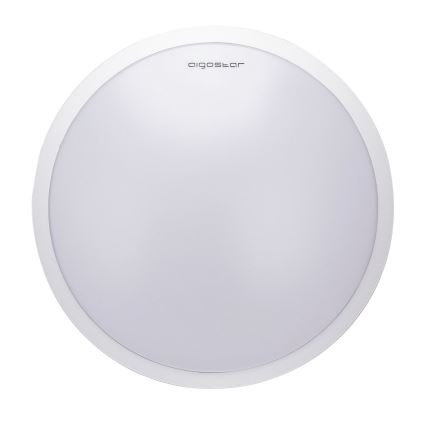 Aigostar - LED Mennyezeti lámpa LED/24W/230V 3000K fehér