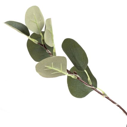 Aigostar - LED napelemes dekoráció 30xLED/2,6m IP65 300 mAh meleg fehér eukaliptusz