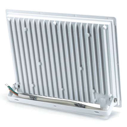 Aigostar - LED reflektor LED/100W/230V 4000 IP65