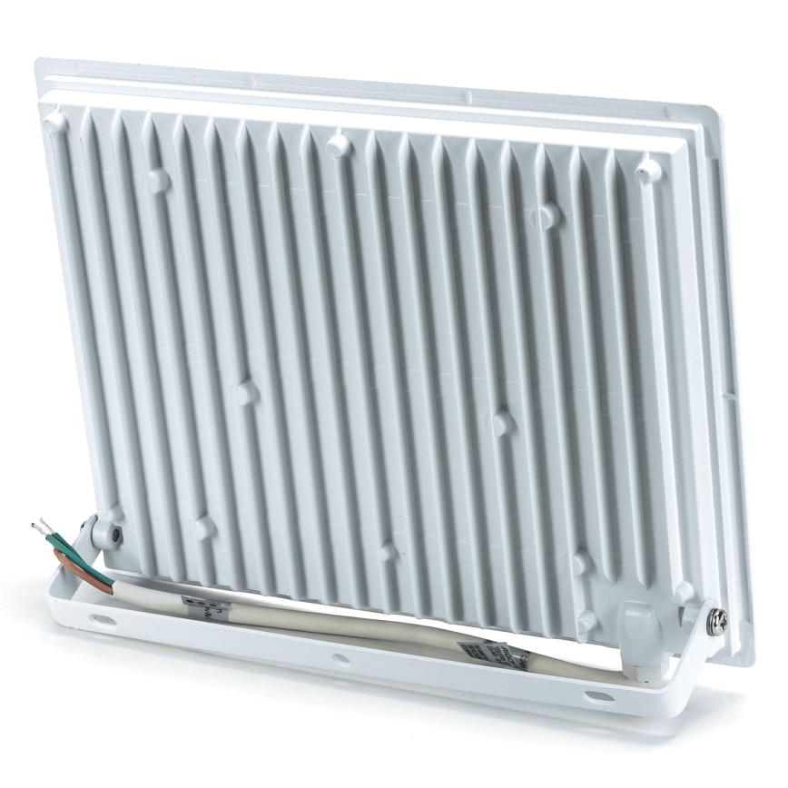 Aigostar - LED reflektor LED/100W/230V 4000 IP65