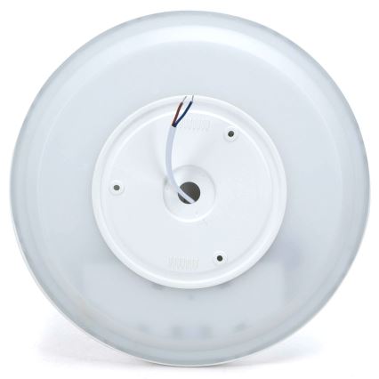 Aigostar - LED RGBW dimmelhető mennyezeti lámpa MESH LED/24W/230V 3000-6500K fehér + távirányító