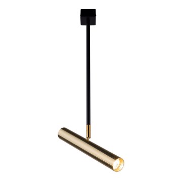 Amplex - Csillár rúdon 1xGU10-MR11/15W/230V fekete/réz