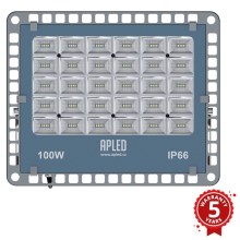 APLED - LED Kültéri reflektor PRO LED/100W/230V IP66 10000lm 6000K