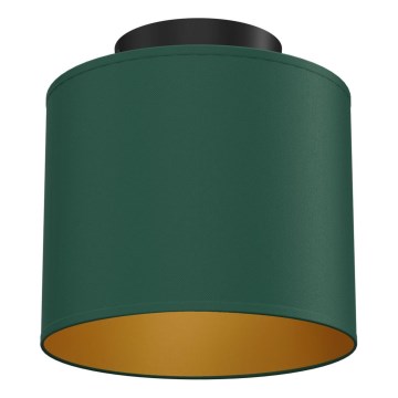 ARDEN mennyezeti lámpa 1xE27/15W/230V, Ø 18 cm, zöld