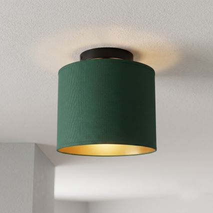 ARDEN mennyezeti lámpa 1xE27/15W/230V, Ø 18 cm, zöld