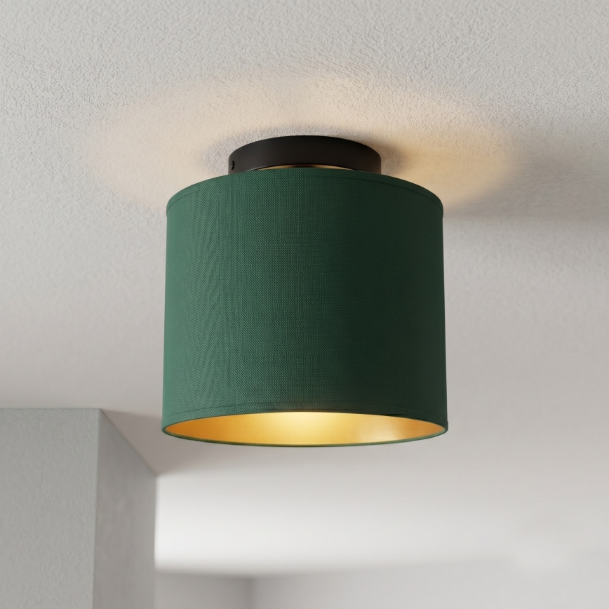 ARDEN mennyezeti lámpa 1xE27/15W/230V, Ø 18 cm, zöld