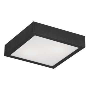 Argon 0723 - Mennyezeti lámpa TEQUILA BIS 2xE27/60W/230V