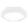 Argon 3827 - LED Mennyezeti lámpa ARIZONA LED/22,5W/230V fehér