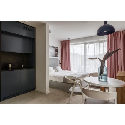 Argon 4222 - Függeszték kábelre SINES 1xE27/15W/230V átm. 28 cm fekete