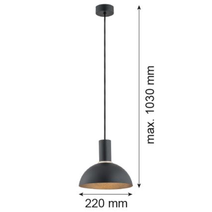 Argon 4222 - Függeszték kábelre SINES 1xE27/15W/230V átm. 28 cm fekete