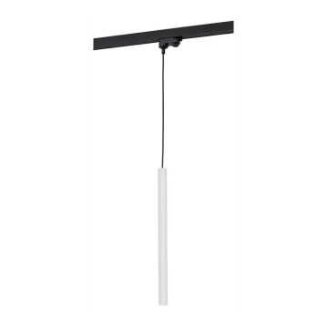 Argon 4330 - LED csillár kábelre sínrendszerhez ELBRUS LED/4,5W/230V fehér