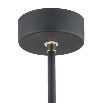 Argon 4686 - Csillár rúdon CHARLOTTE 1xE27/15W/230V fekete/arany