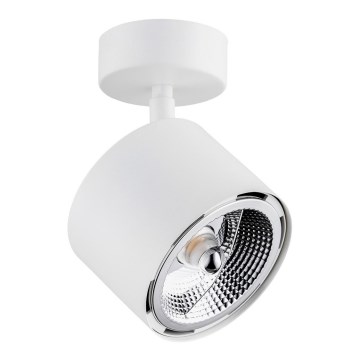 Argon 4702 - CLEVLAND 1xGU10-AR111/12W/230V spotlámpa fehér